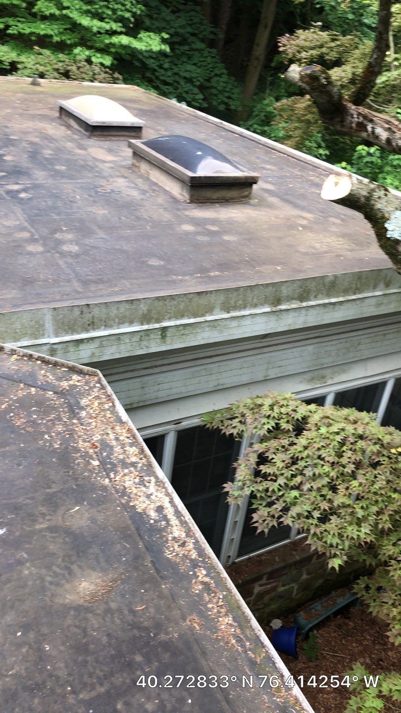 Flat roof of a house with two skylights, viewed beside trees and greenery.