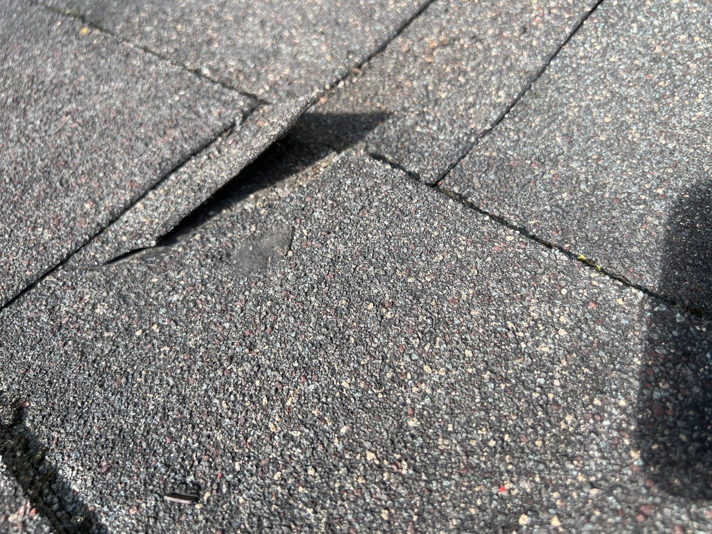 Damaged and lifted asphalt shingles on a residential roof in Fort Washington, PA