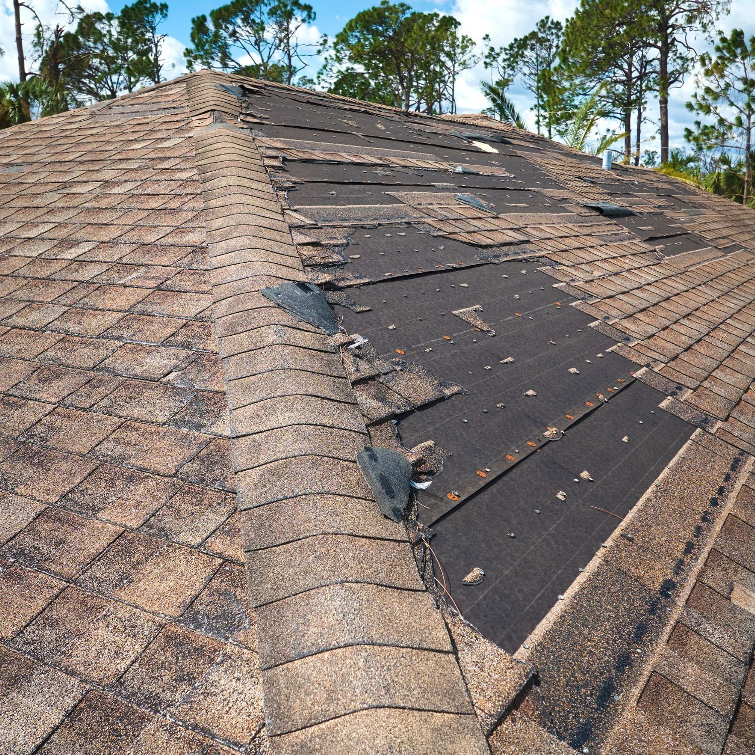 Damaged shingle roof with missing sections and exposed underlayment on a sloped house roof