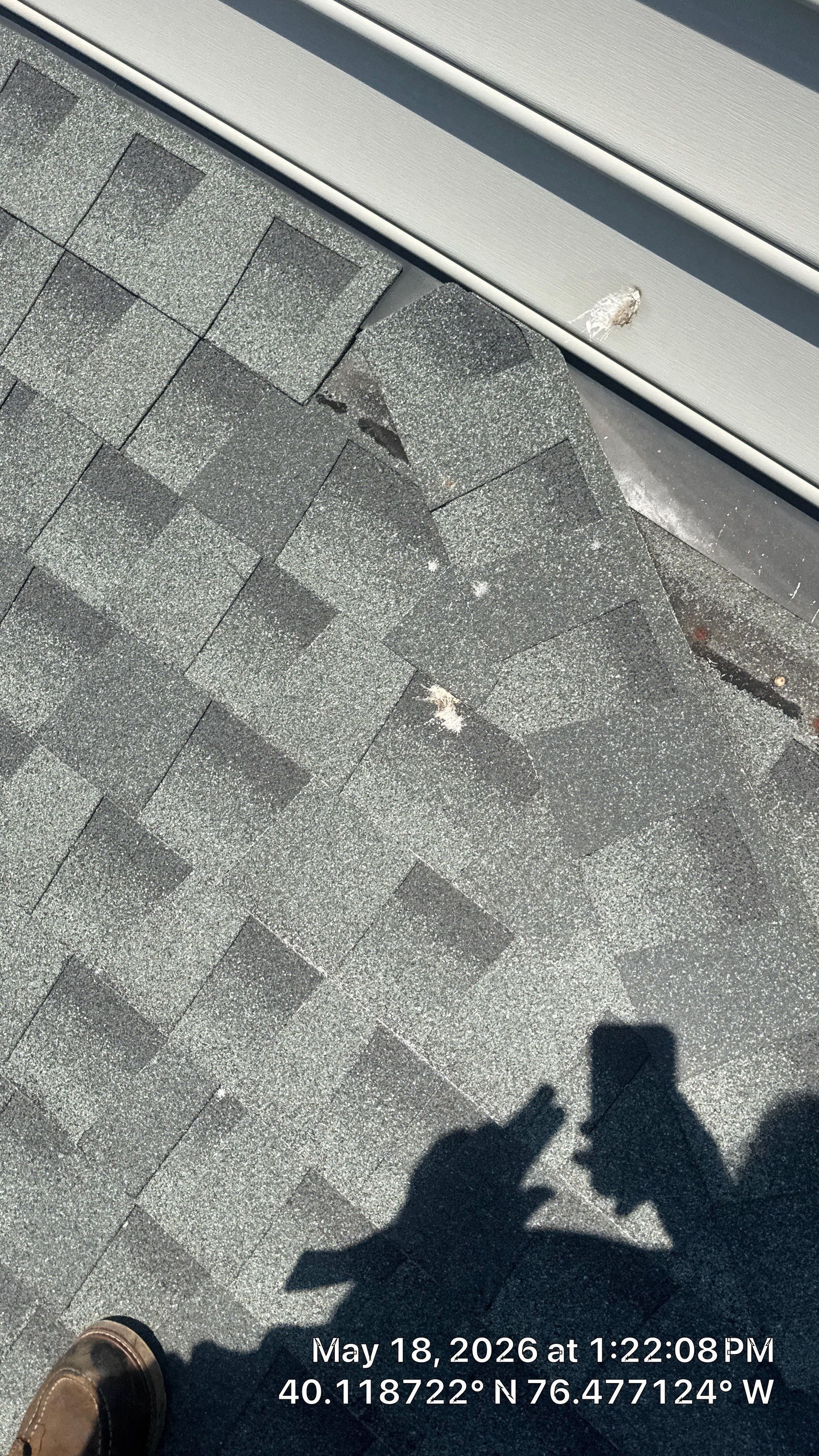 Roof shingles and gray siding with a small white insect near the seam; shadow visible at bottom.