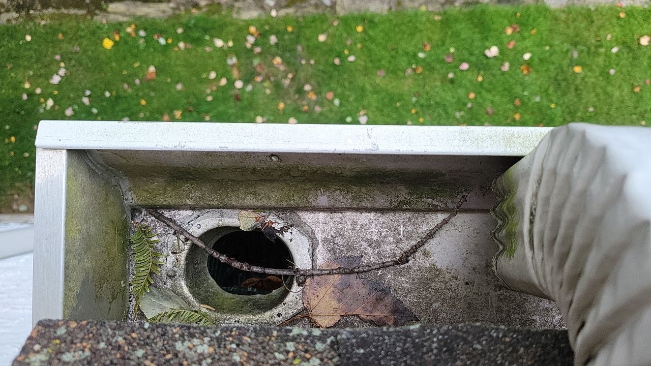 Gutter drainage inspection showing debris and buildup on Iona Avenue in Narberth, PA