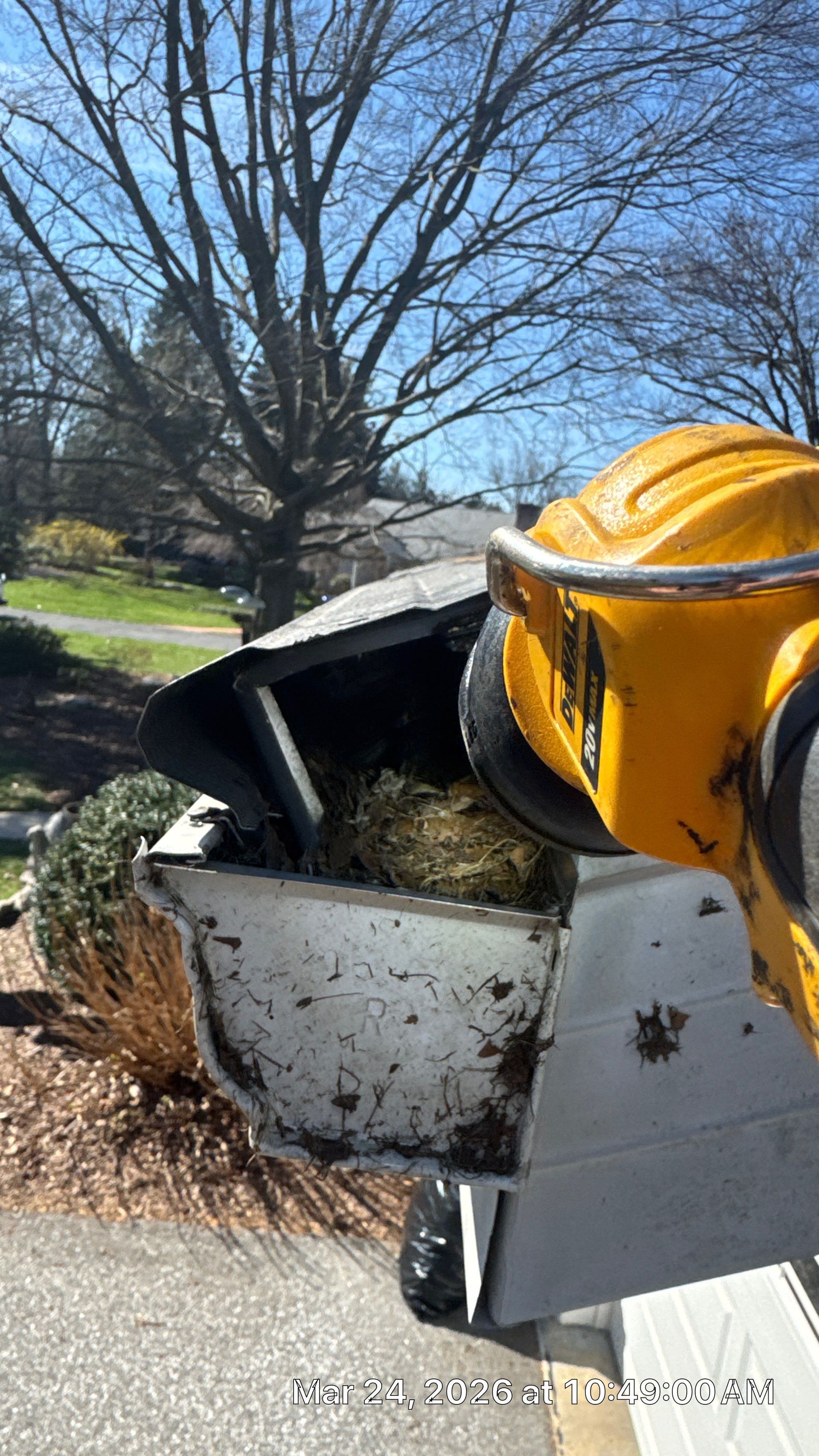 Bird nest discovered inside a damaged gutter during a gutter repair inspection on Glendale Street in Carlisle, PA.