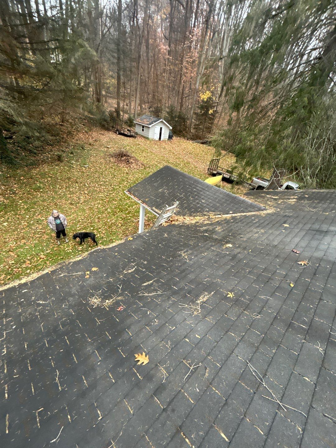 Asphalt shingle roof overlooking a wooded property on Hill Church Road in Boyertown, PA.