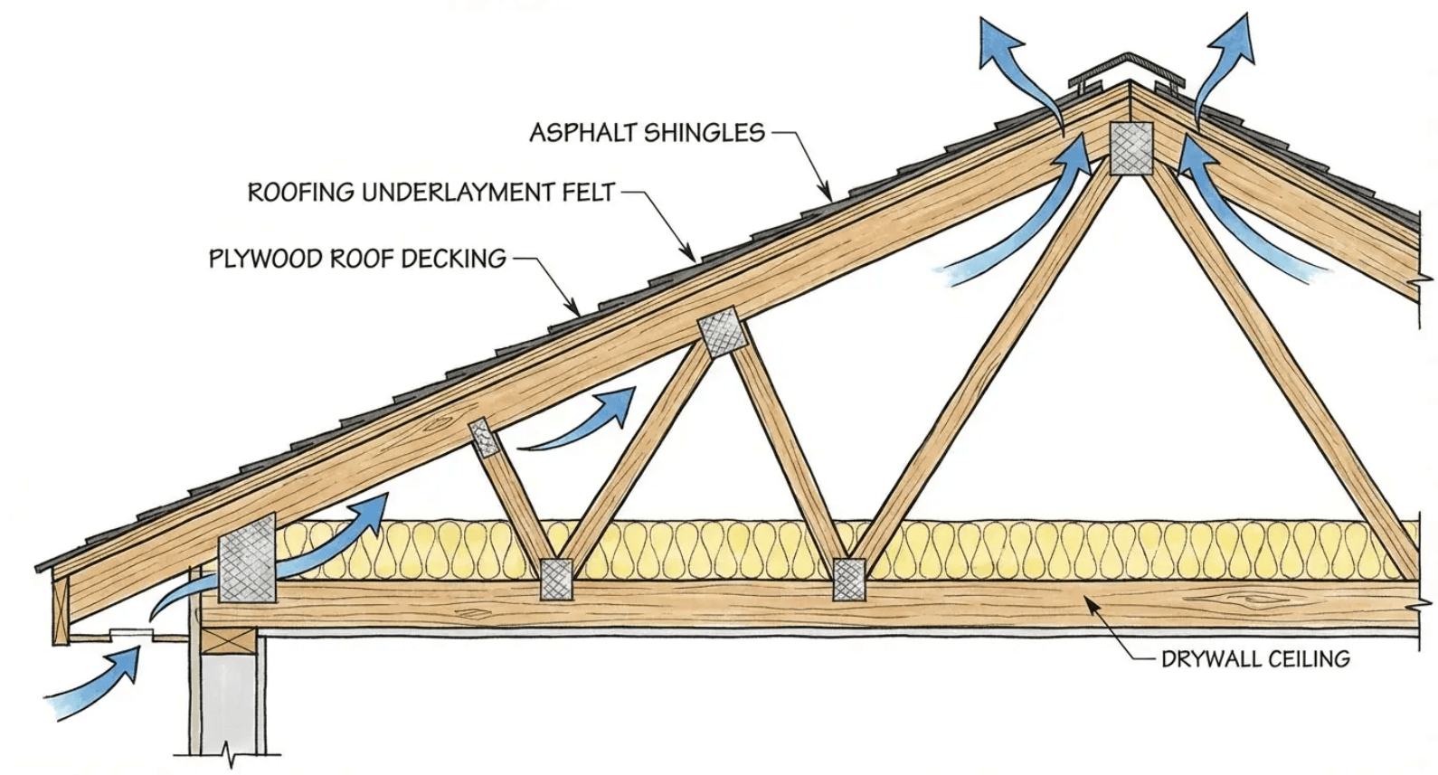 Cross-section of a roof with attic insulation and ventilation showing airflow through soffit and ridge vents.