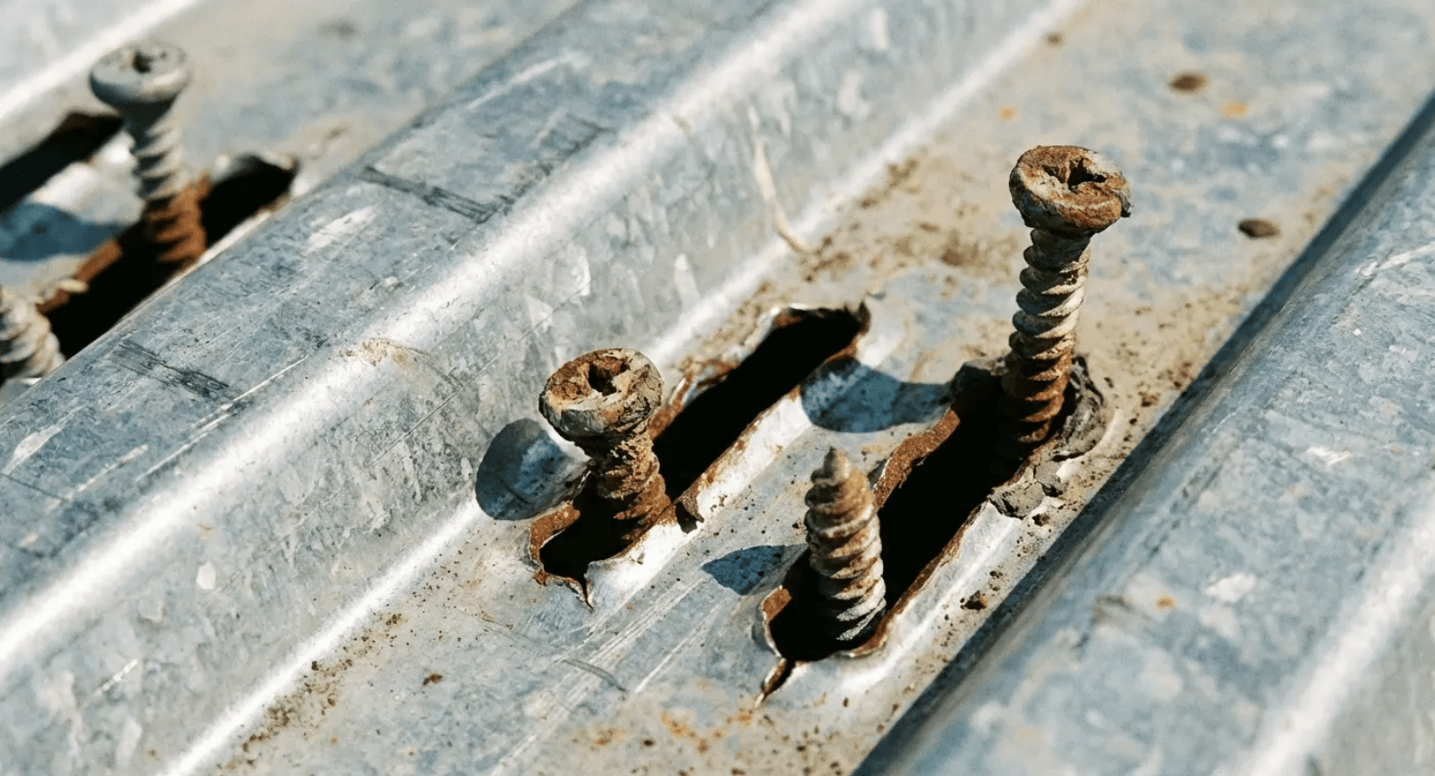 Rusty screws protruding from a weathered galvanized metal surface.