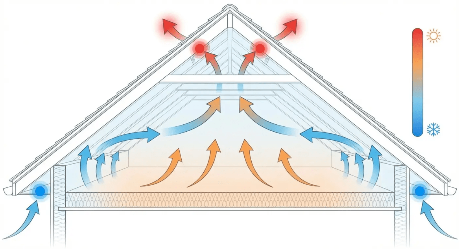 House cross-section showing airflow and heat rising: blue intake low, orange heat up, red exhaust at roof vents