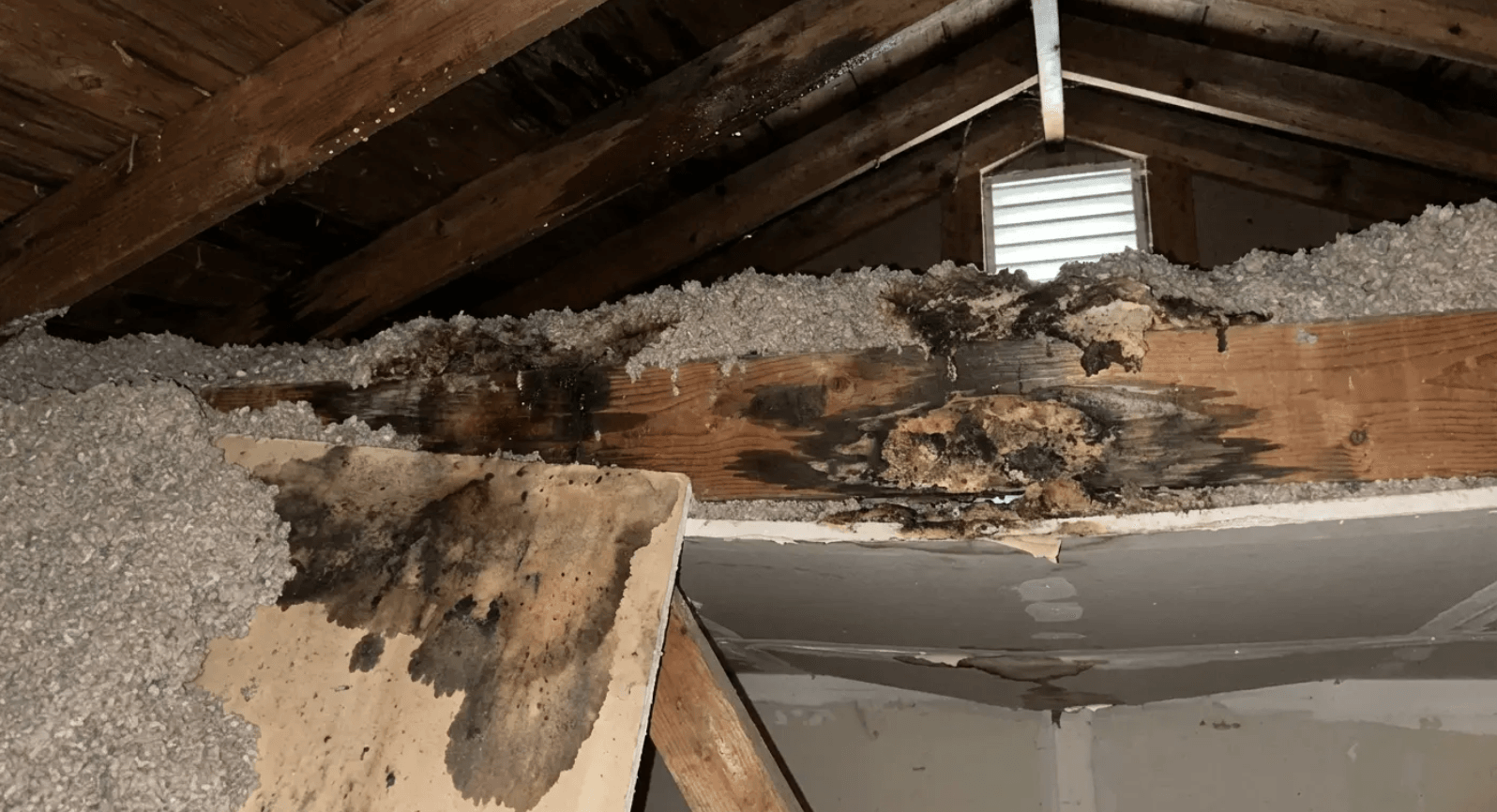Attic mold and rotted roof joists from a delayed chimney flashing repair