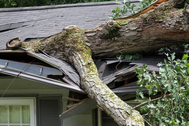 Tree trunk lodged in a roof, damaging shingles and gutter.