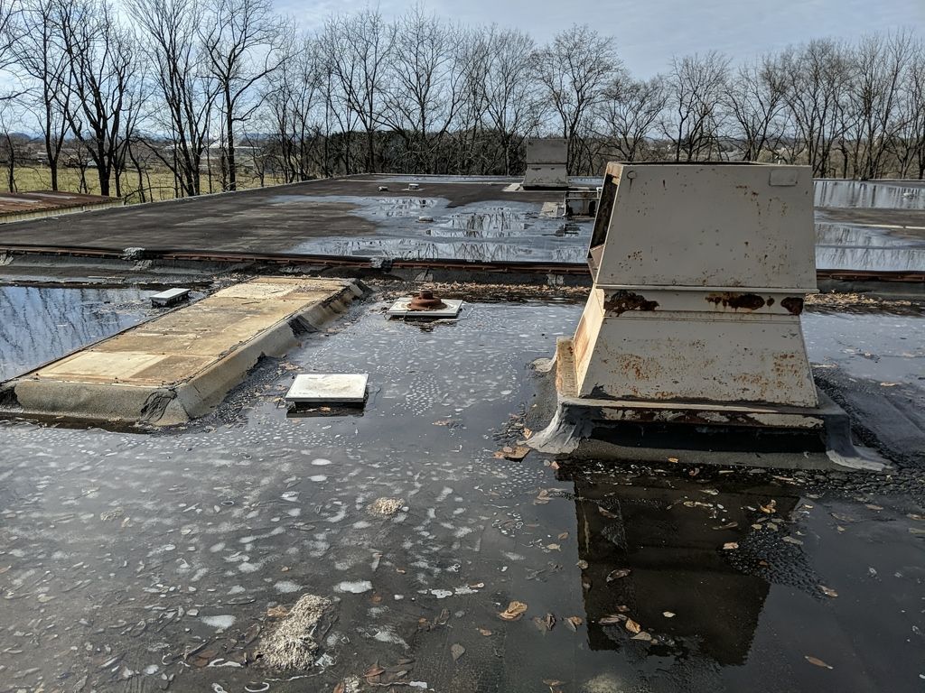 Water-covered rooftop with debris, concrete structures, and leafless trees in the background