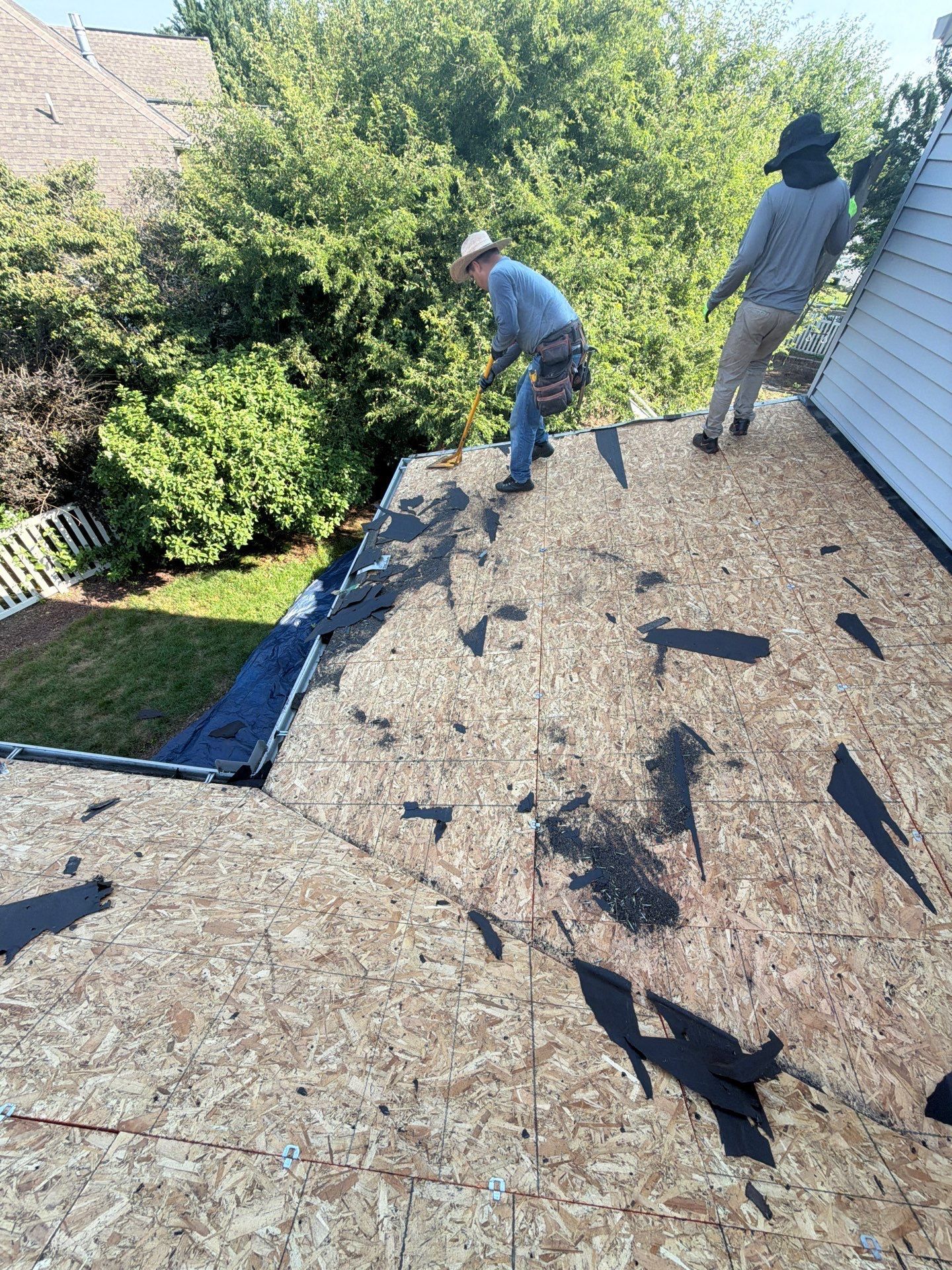 Joyland Roofing crew removing old shingles during a roof replacement on Lexington Drive.