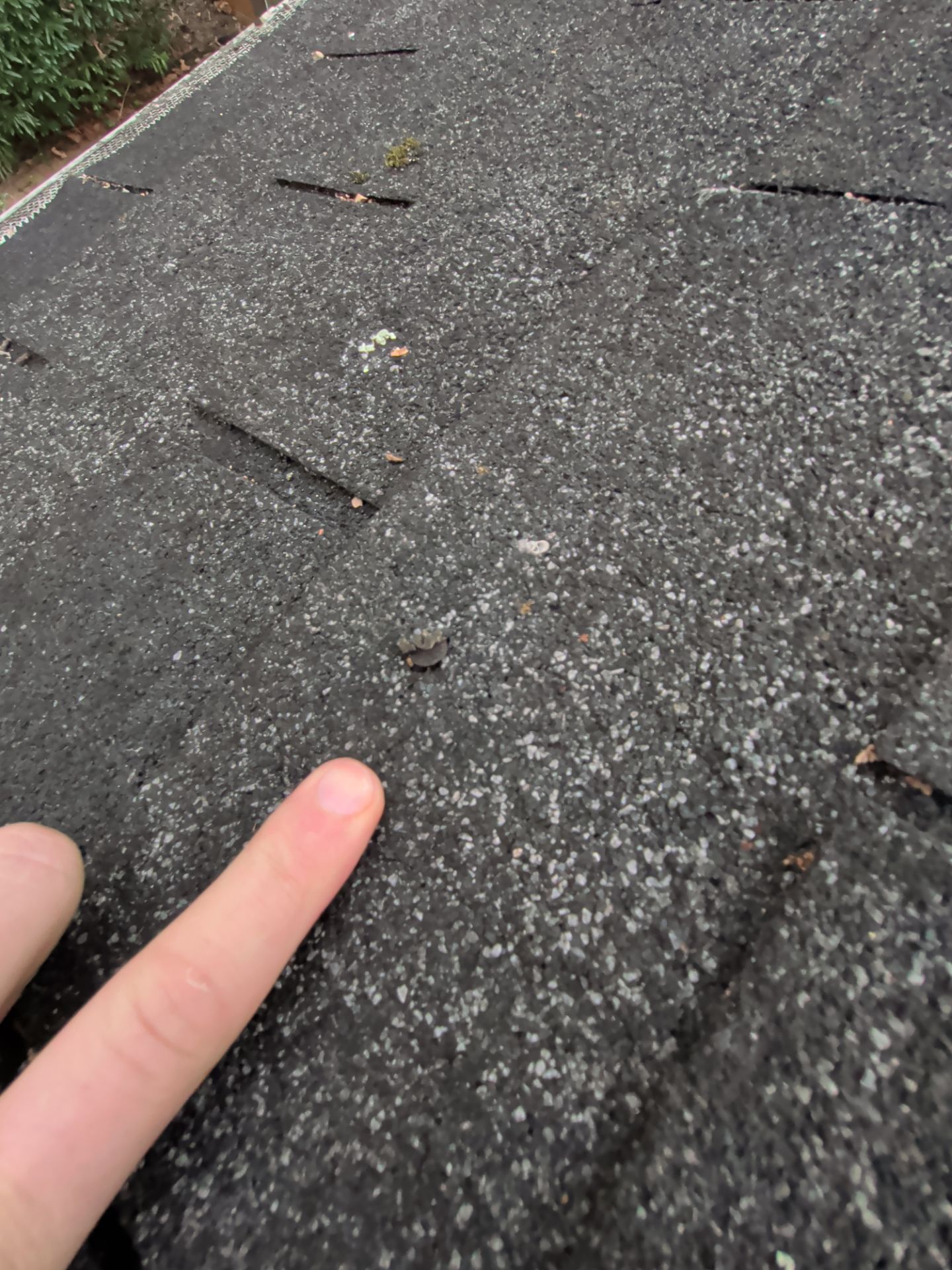 Lifted and damaged asphalt shingle exposing a vulnerable area of a residential roof in Fort Washington, PA