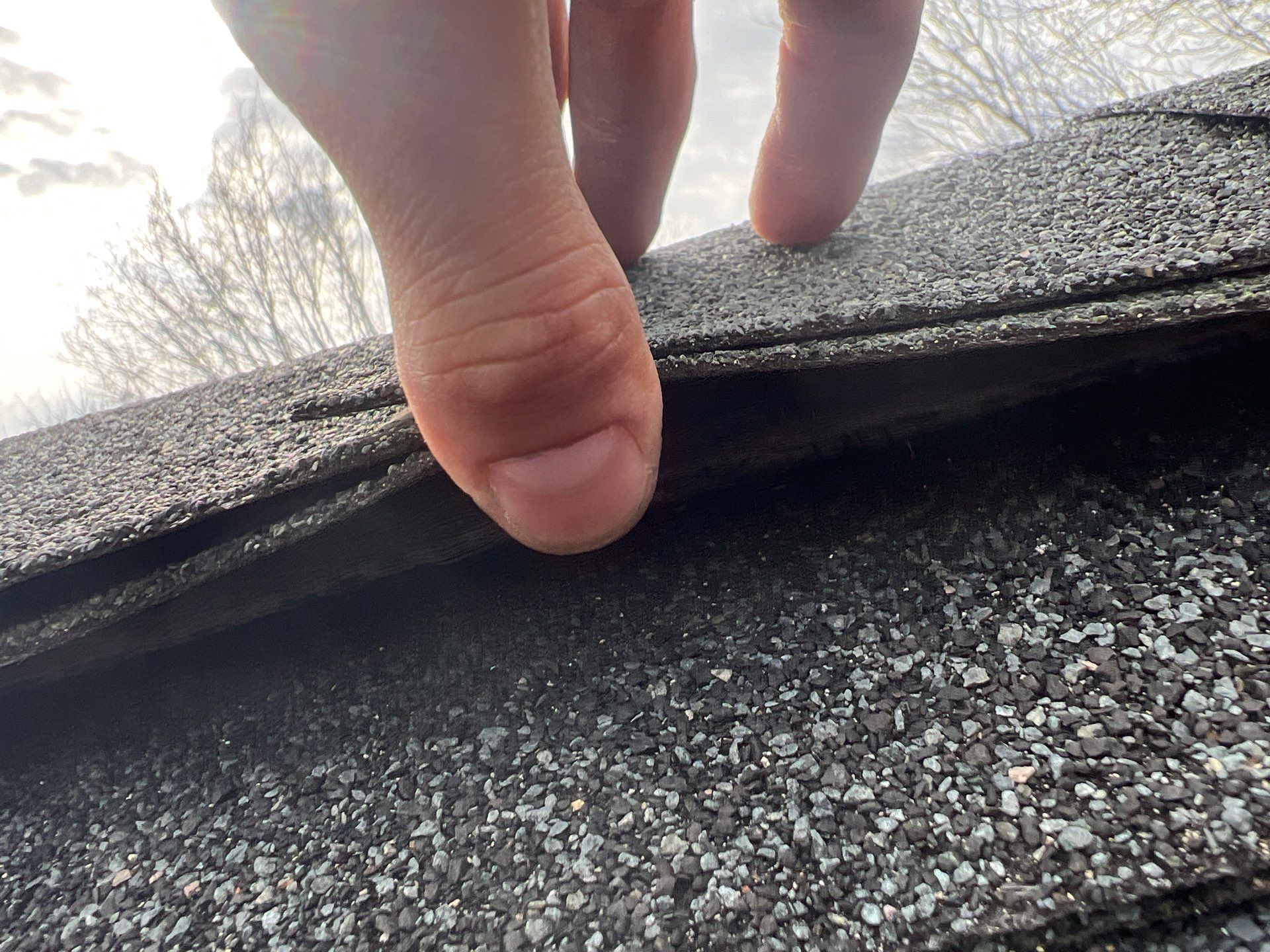 Lifted asphalt shingle identified during a roof repair inspection on North Homestead Drive.