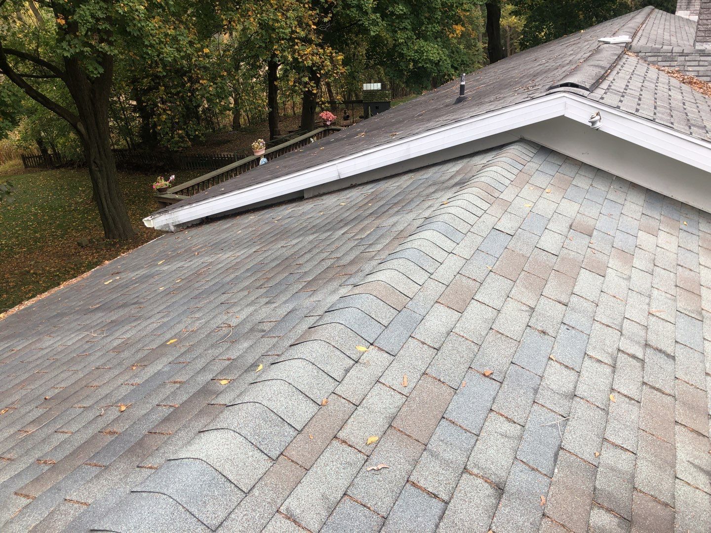 Shingled roof with a valley edge beside trees in a wooded area