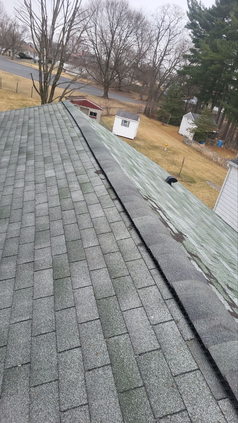 Roof shingles with a steep slope, overlooking a yard with leafless trees and utility boxes on a cloudy day