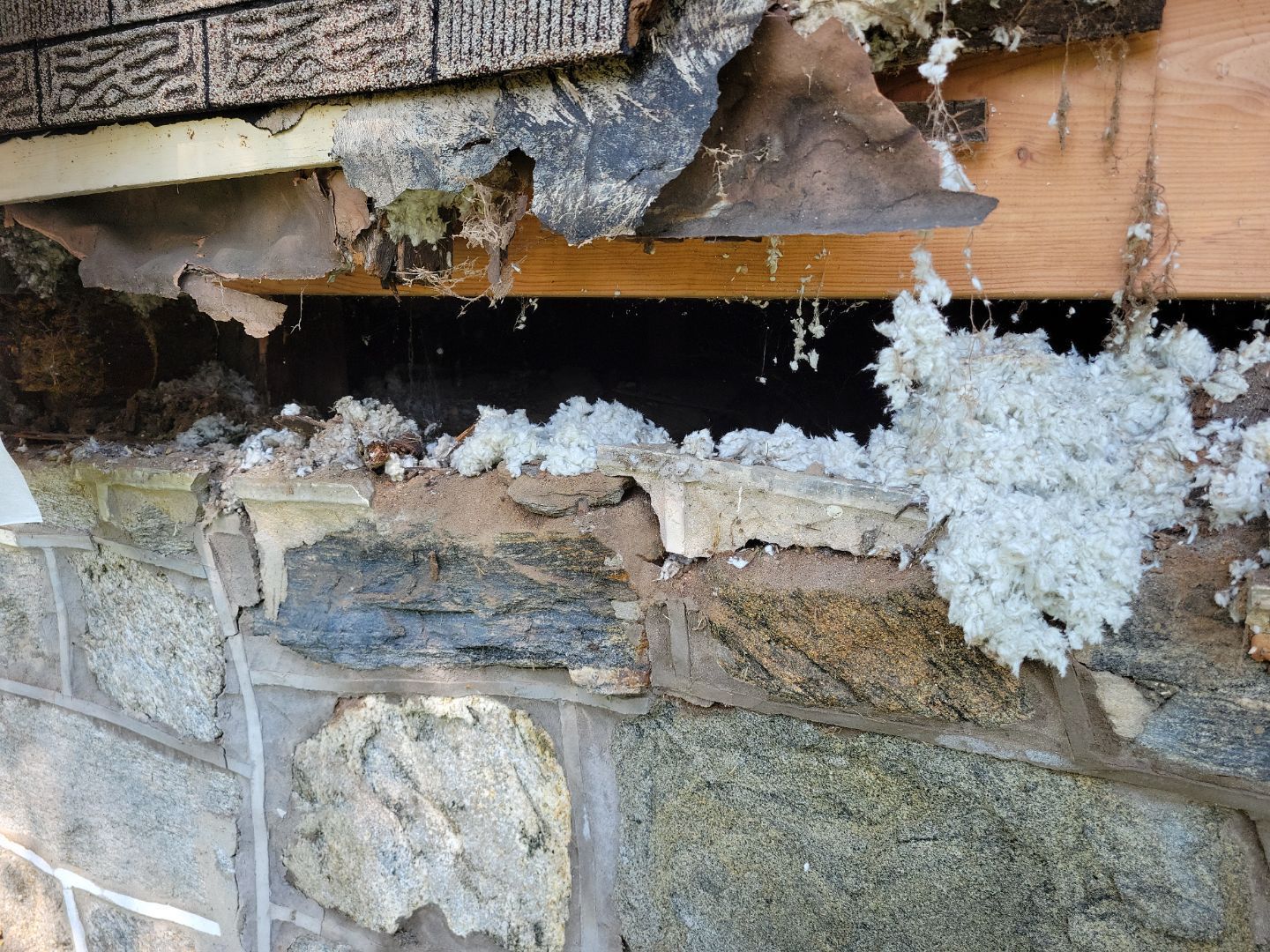 Roof edge repair addressing moisture-damaged wood and deteriorated roofing materials in Ridley Park PA
