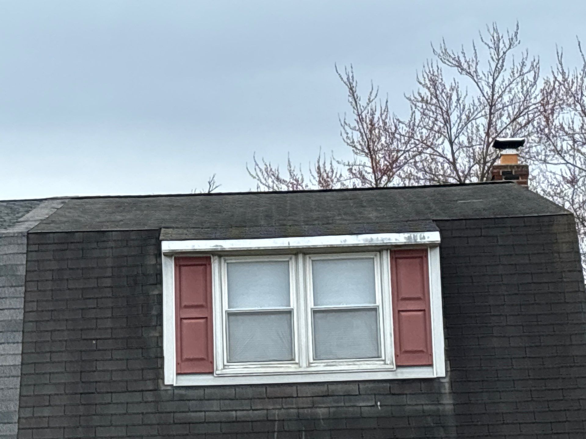 Residential shingle roof on Michigan Avenue in Swarthmore PA