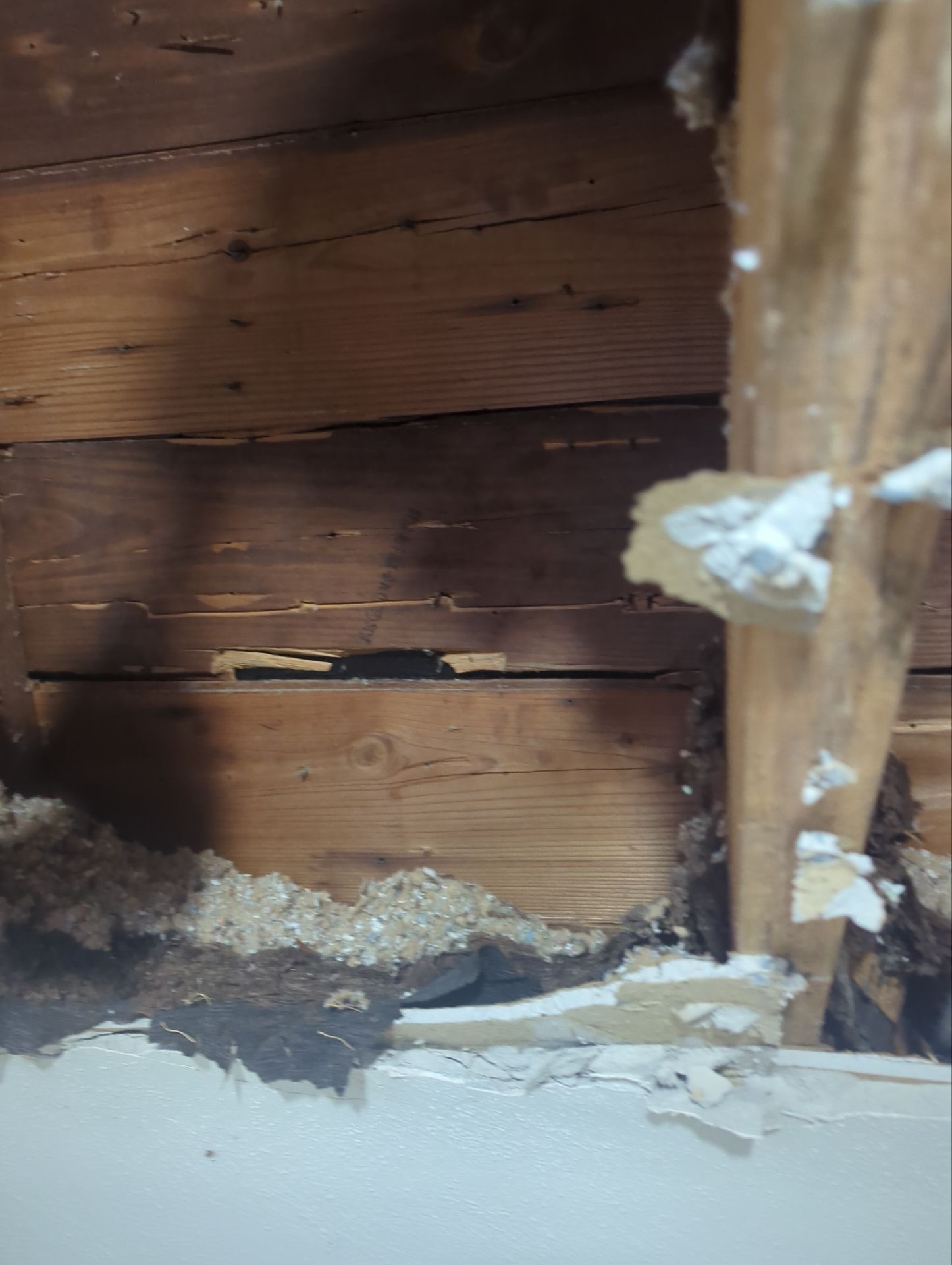 Deteriorated wood roof framing and signs of moisture damage inside a Fort Washington, PA home
