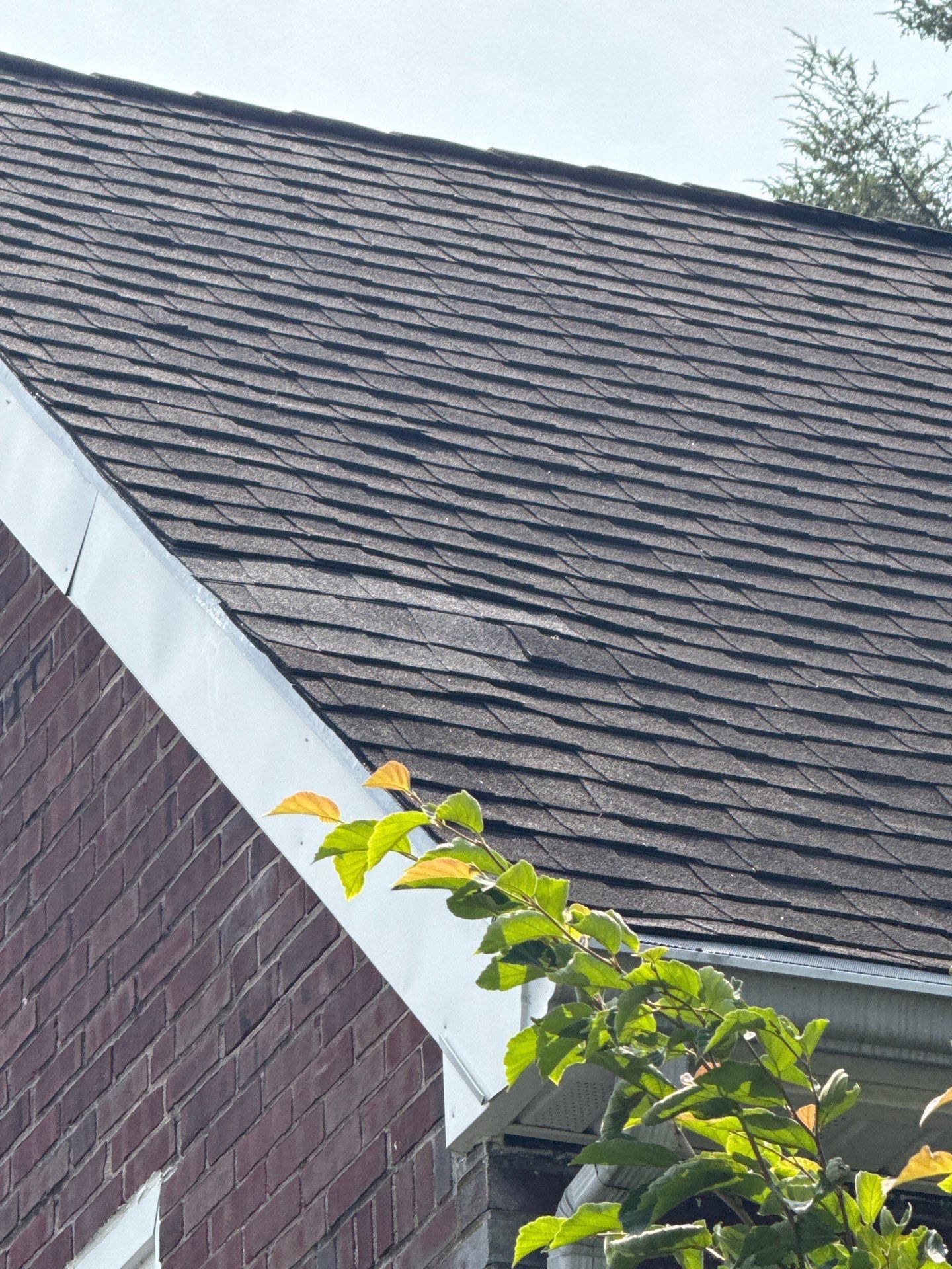 Asphalt shingle roof with roof edge and flashing details on Oaklyn Avenue