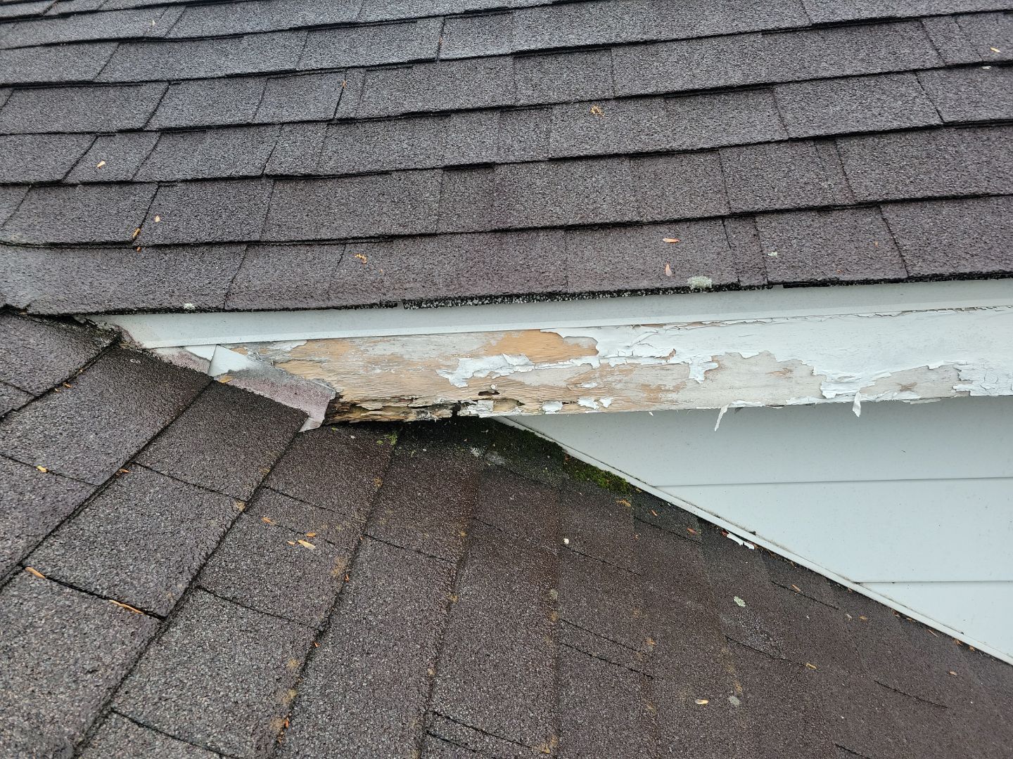 Damaged and deteriorated fascia along a shingle roof in Wyndmoor, PA