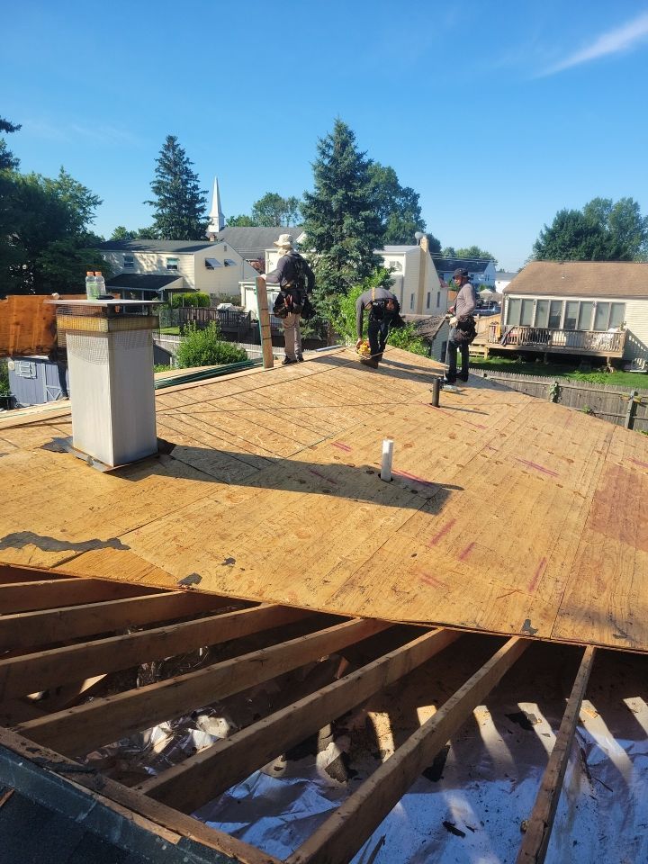 Roof replacement project on Forest Avenue with new OSB roof decking installed over exposed roof framing