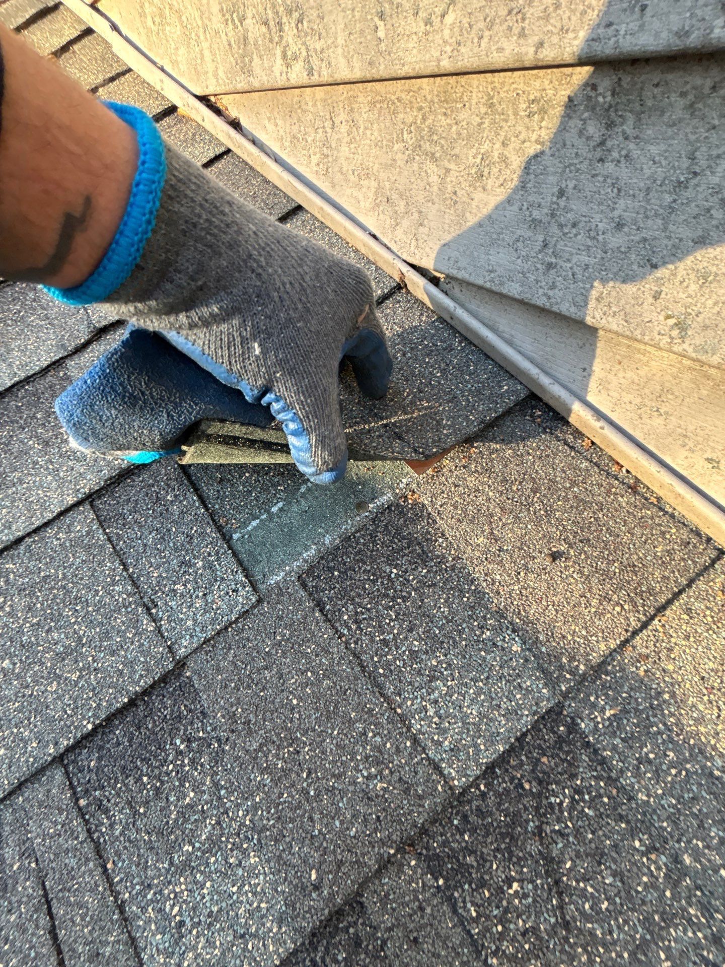 Gloved roofing technician lifting an asphalt shingle to reveal deteriorated step flashing where the roof meets the exterior wall on a residential home.