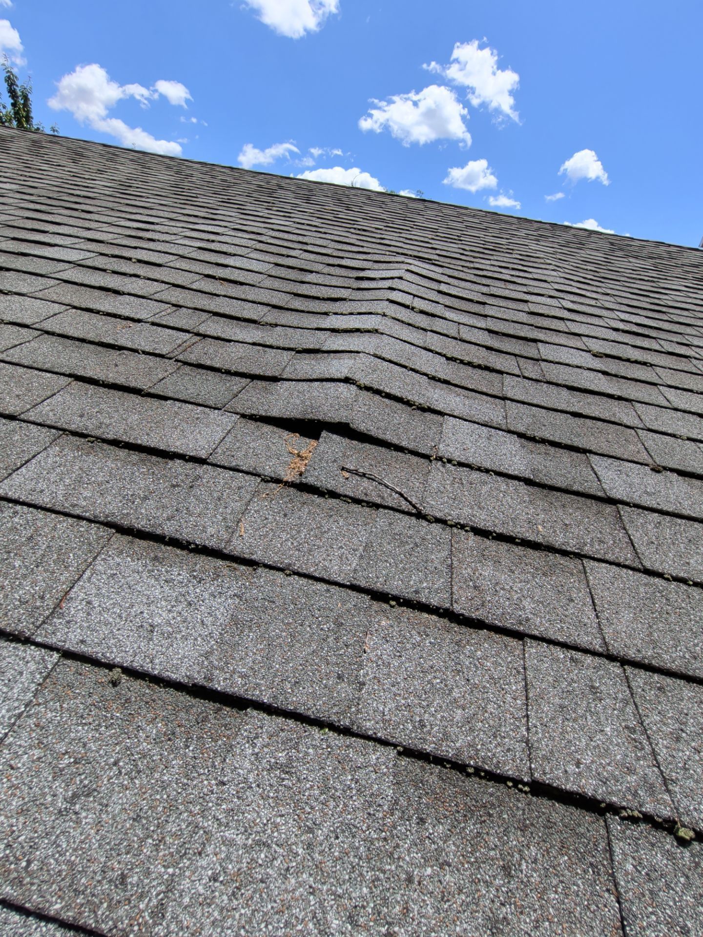 Damaged asphalt shingles identified during a roof inspection before a roof replacement on Sunset Drive in Carlisle, PA.