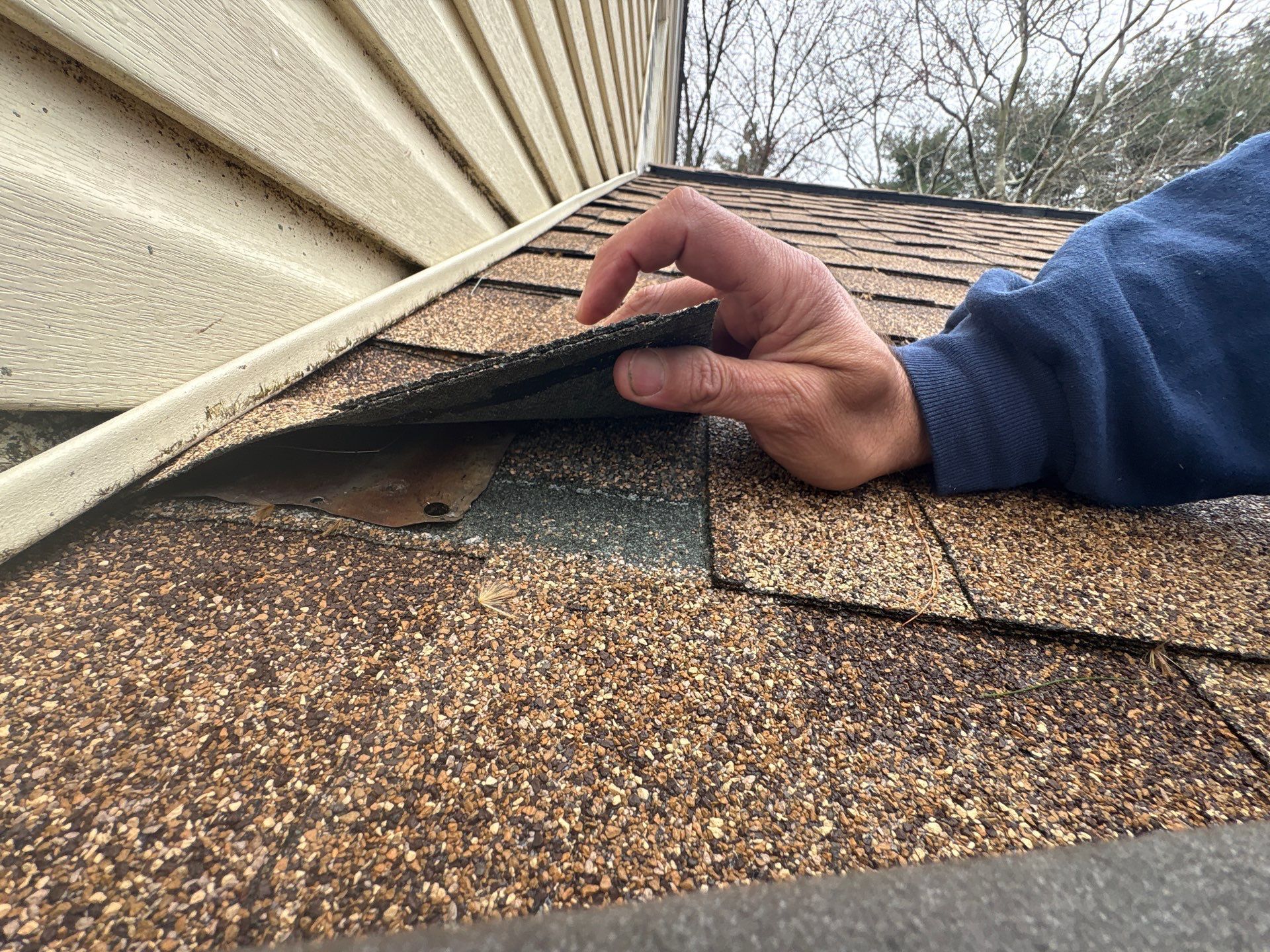 Lifted asphalt shingle identified during a roof repair inspection on Sunview Circle.