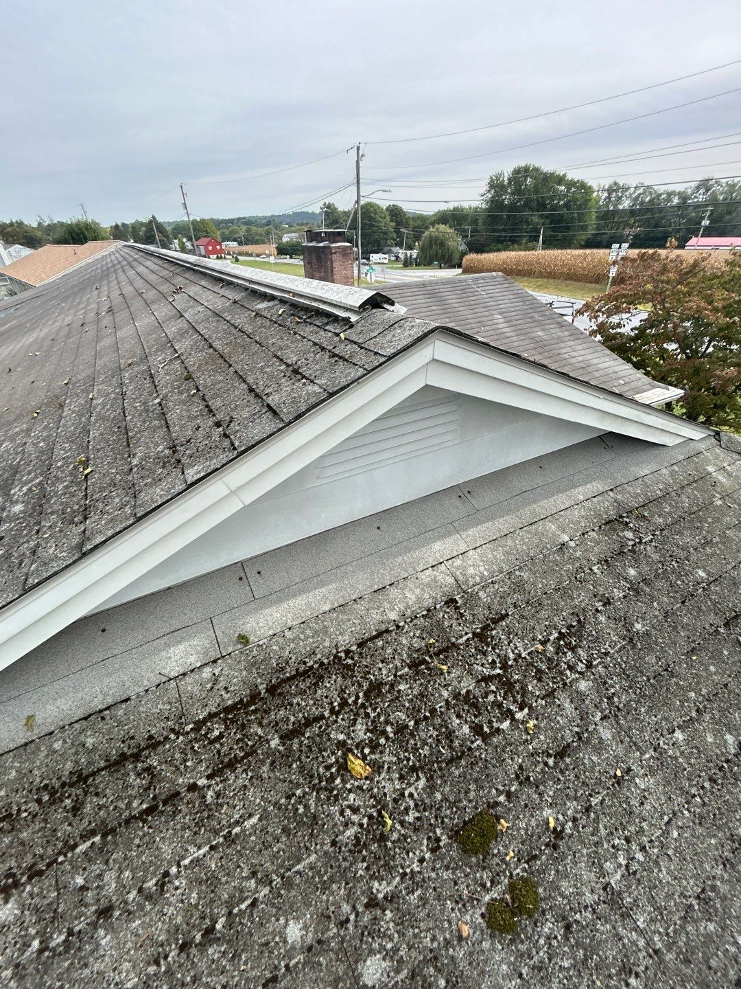 Aged asphalt shingle roof on South 5th Avenue in Schaefferstown, PA showing moss growth, surface wear, and ridge vent deterioration during a professional inspection.