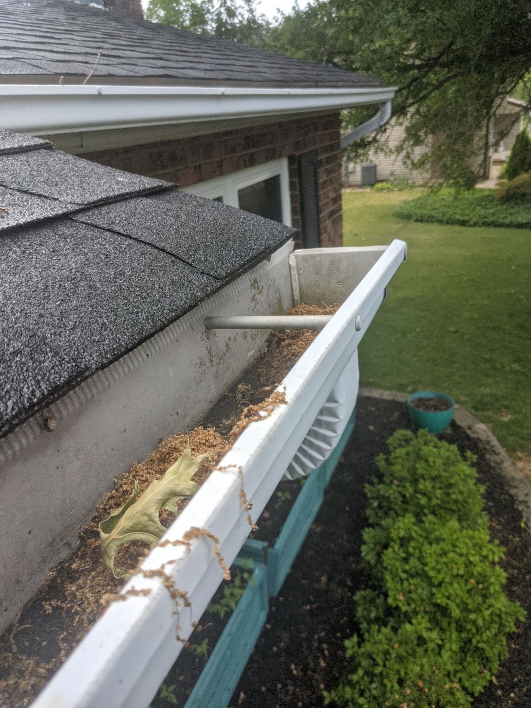 Debris-filled gutter being inspected before gutter cleaning on a home on Zenu Road in Shepherdstown, PA.