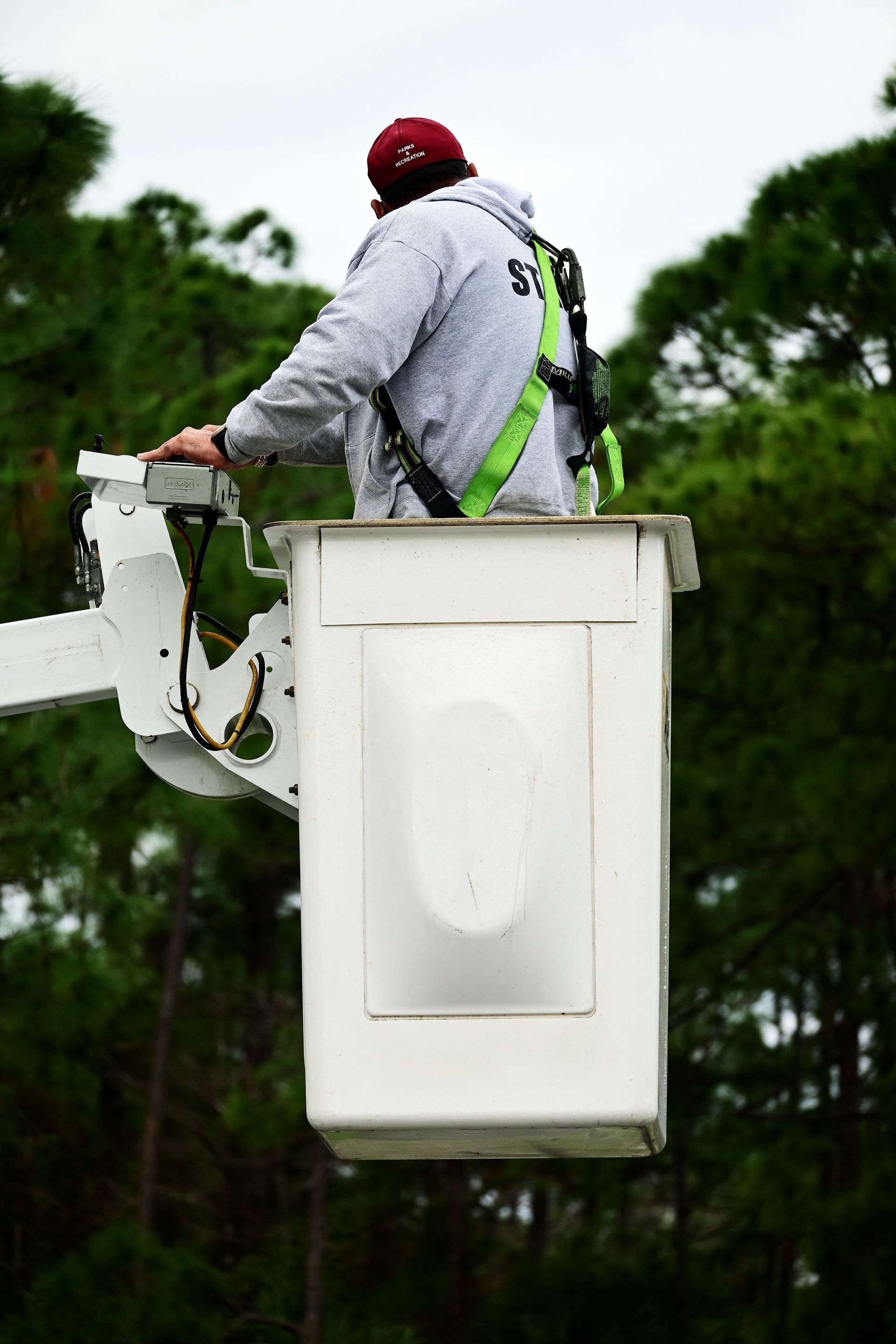 Commercial Property Tree Maintenance