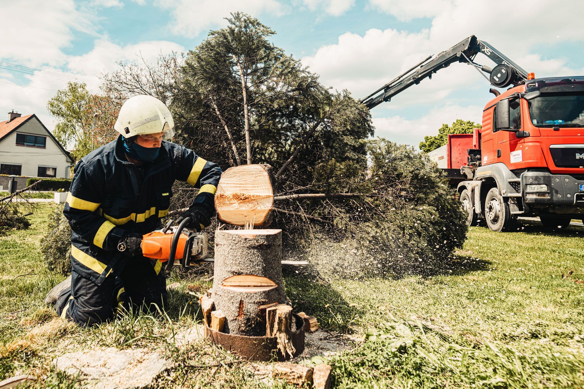 Stump Grinding and Yard Restoration