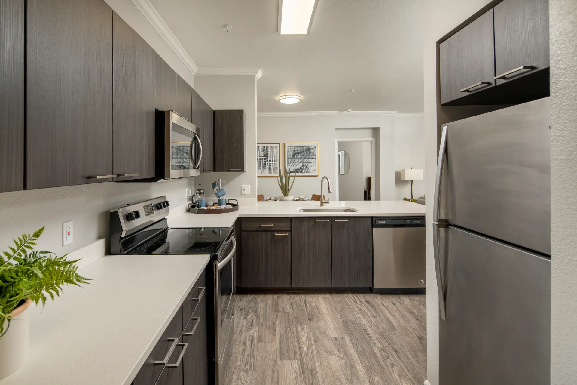 Modern kitchen with dark wood cabinets, stainless steel appliances, and white countertops.