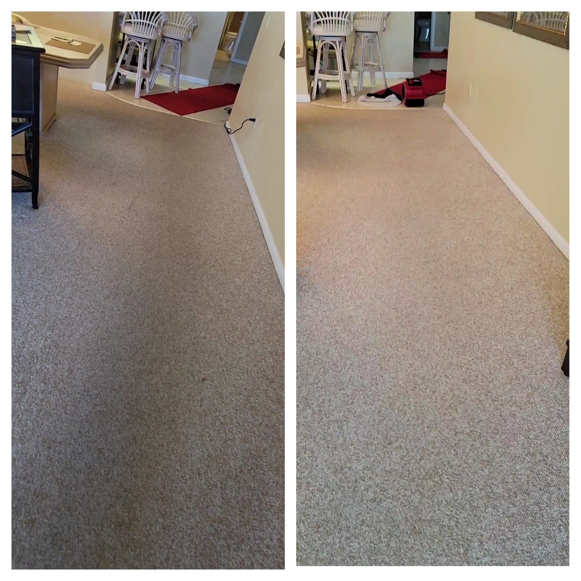 Before photo of a carpeted floor in a living room.