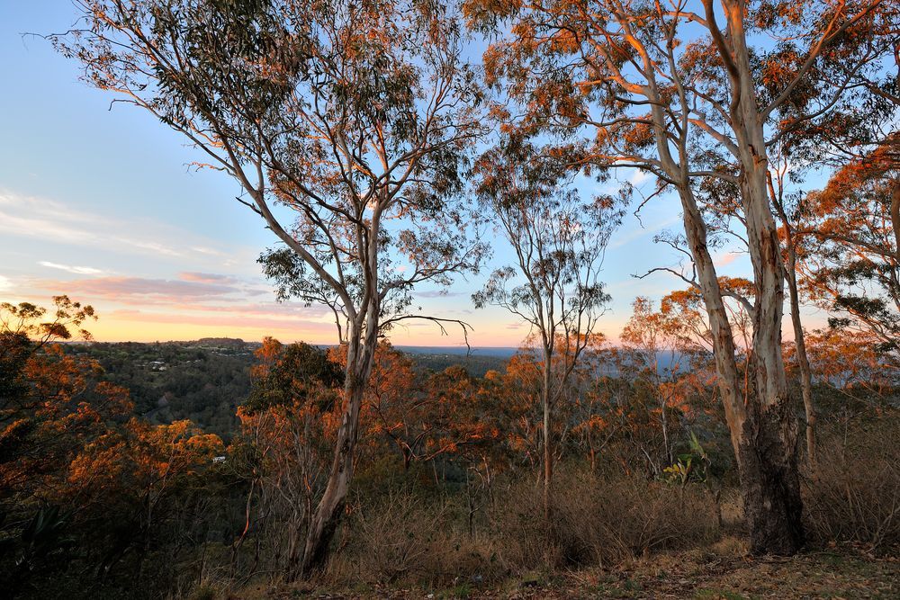 Trees Silhouetted Against a Colourful Sunset Over a Distant Valley — Datco Windows & Doors Pty Ltd In Toowoomba, NSW