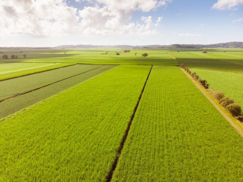 An Aerial View Of A Lush Green Field With A Dirt Road Going Through It — Datco Windows & Doors Pty Ltd In Murwillumbah, NSW