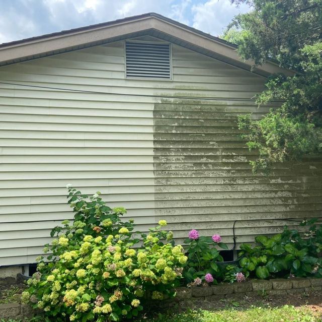 House siding being power washed, showing clean side versus mold-covered side. Green bushes and flowers below.
