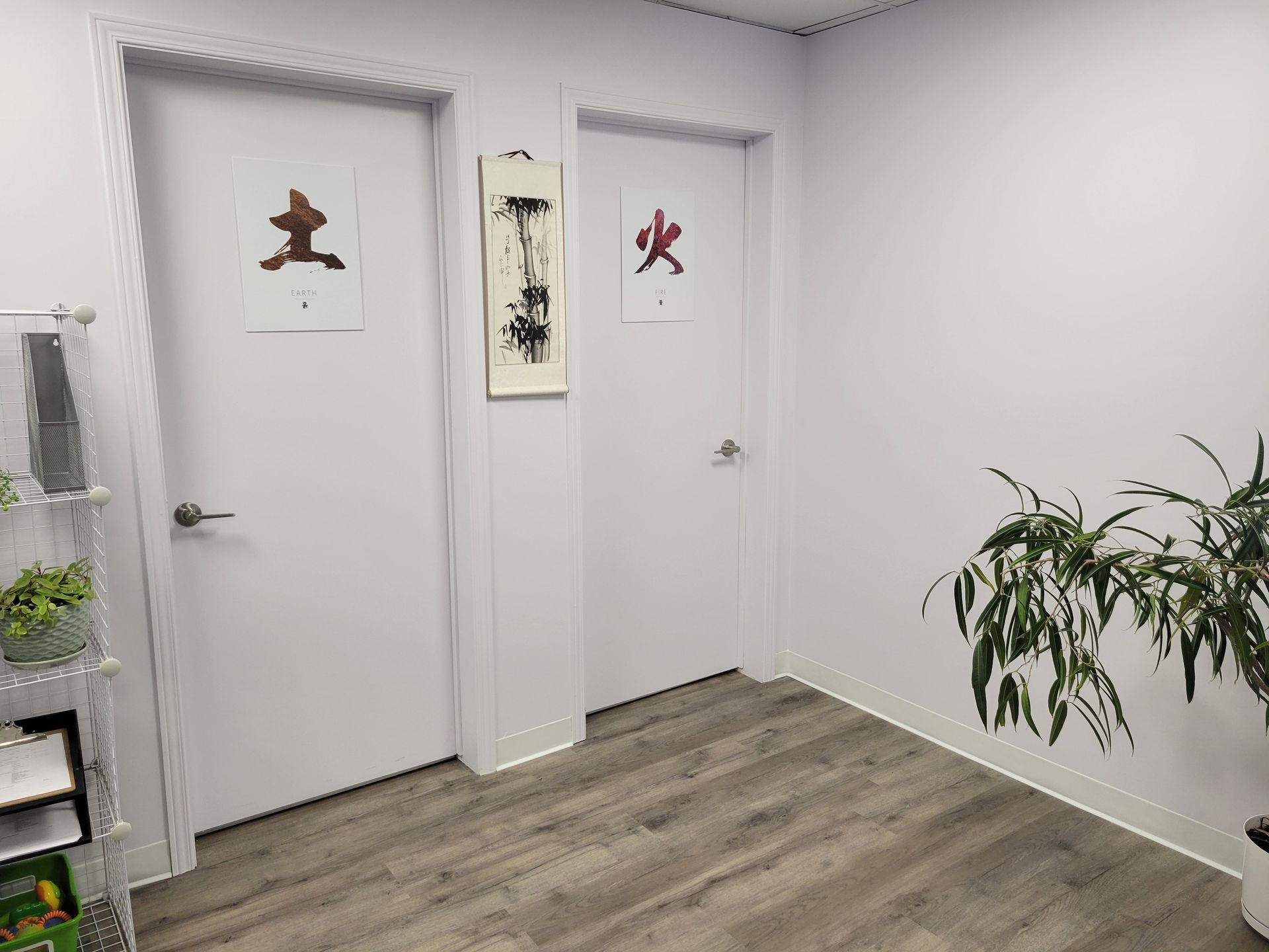 Pièce lumineuse avec deux portes blanches, parquet, décorations murales et une plante en pot dans un coin.