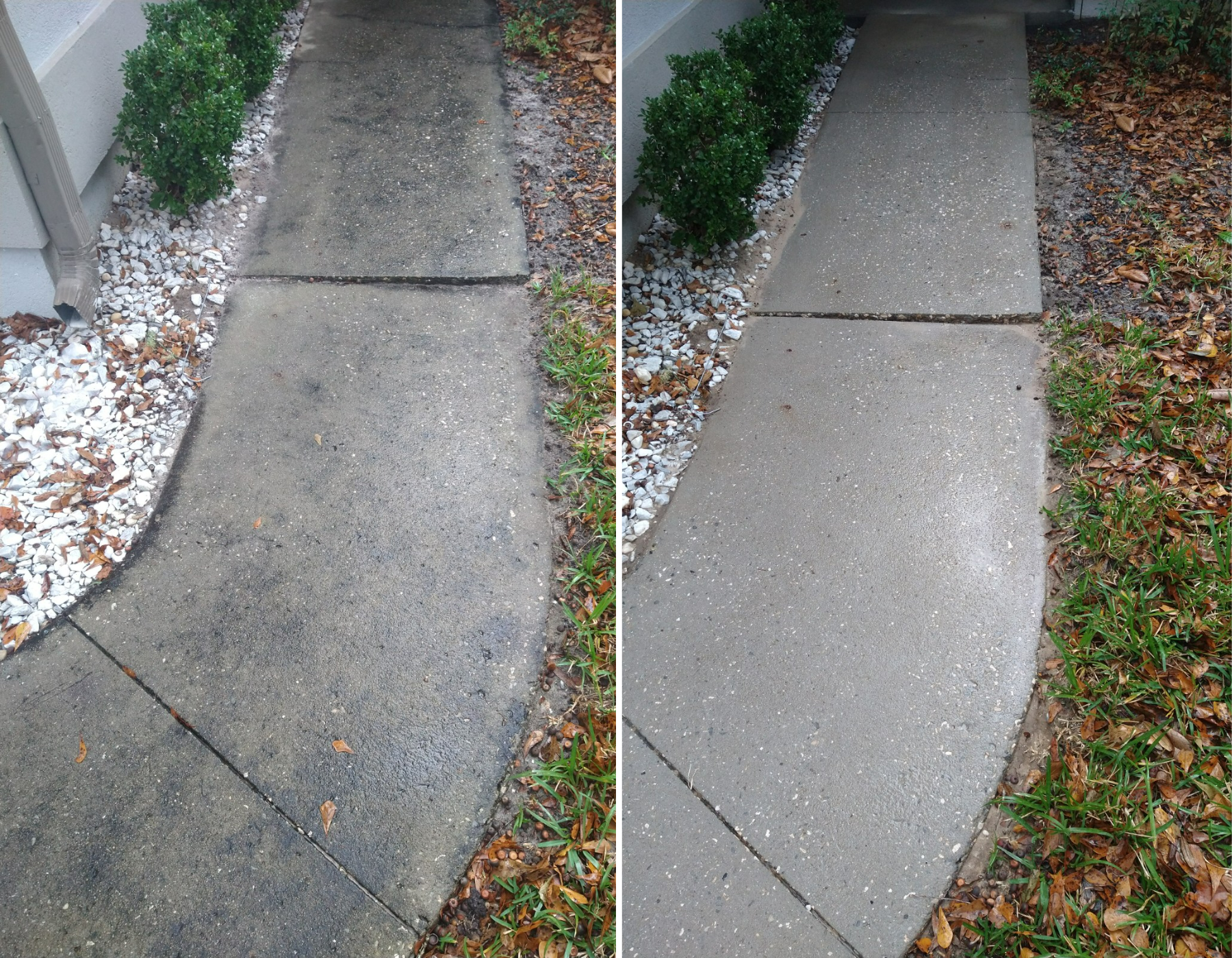 Pressure Washing - Gainesville FL