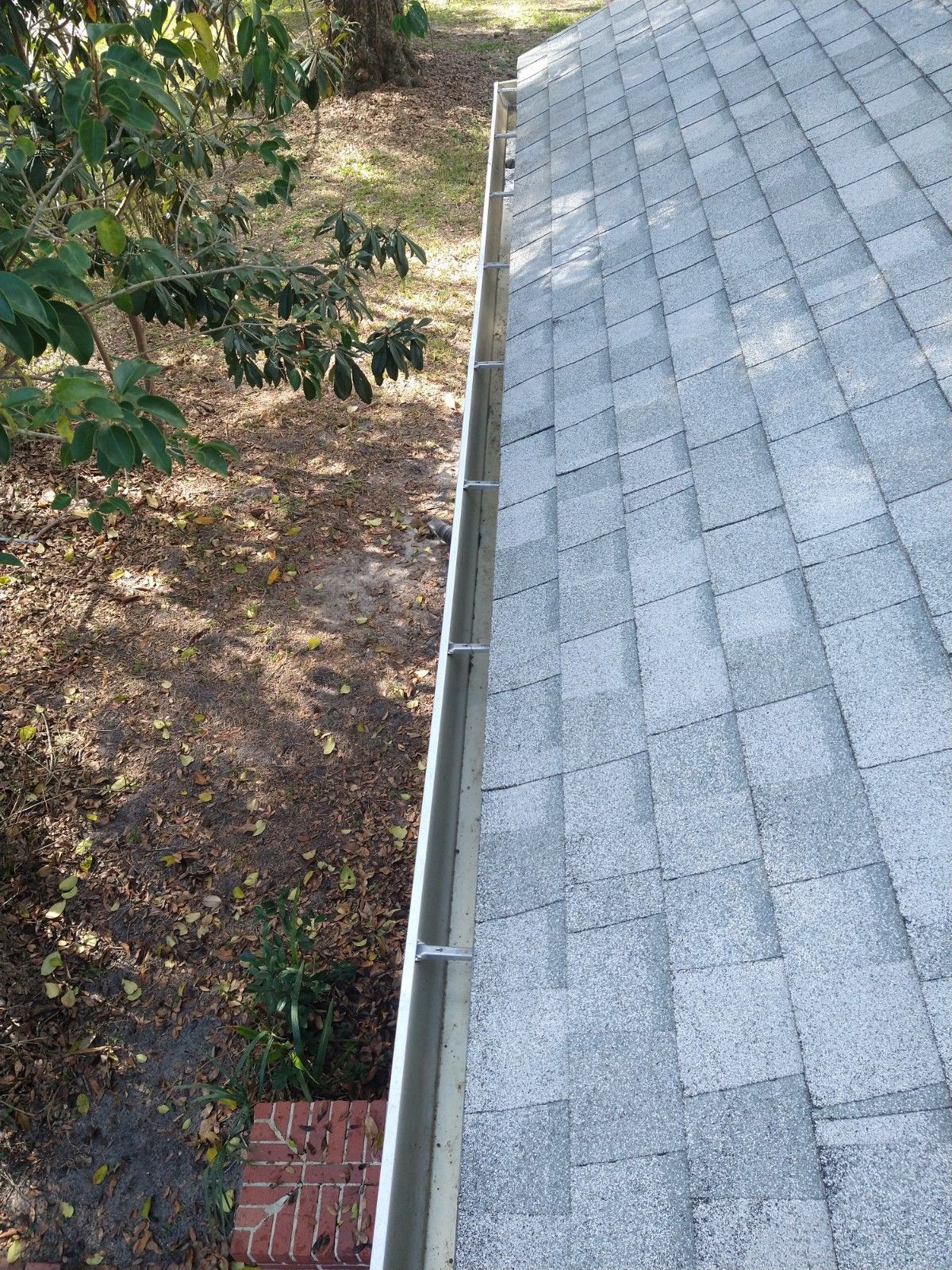 Gutter Cleaning - Gainesville FL - Gutter Cleaning - Gainesville FL - Before