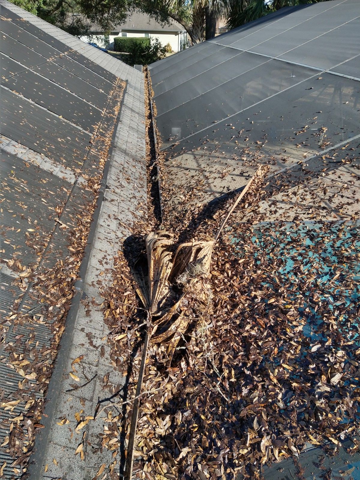 Gutter Cleaning - Before - Gainesville FL