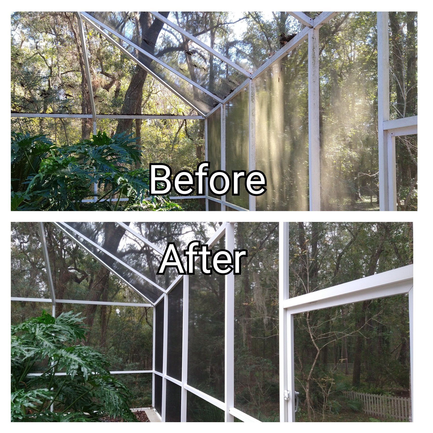 Screen Enclosure Cleaning - Gainesville FL
