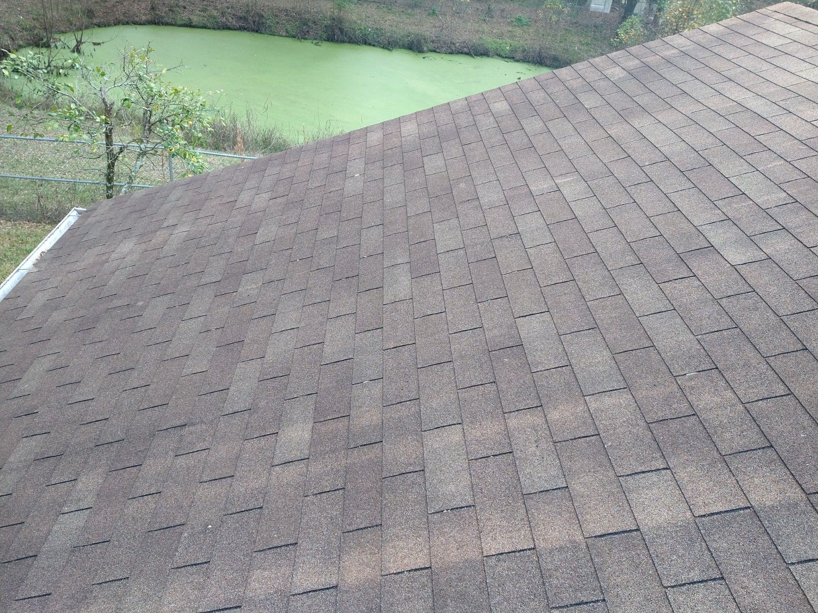 Roof Cleaning - Gainesville FL - Before