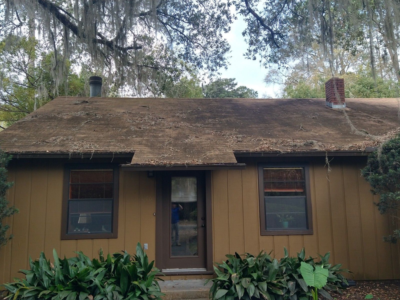 Roof Cleaning - Gainesville FL