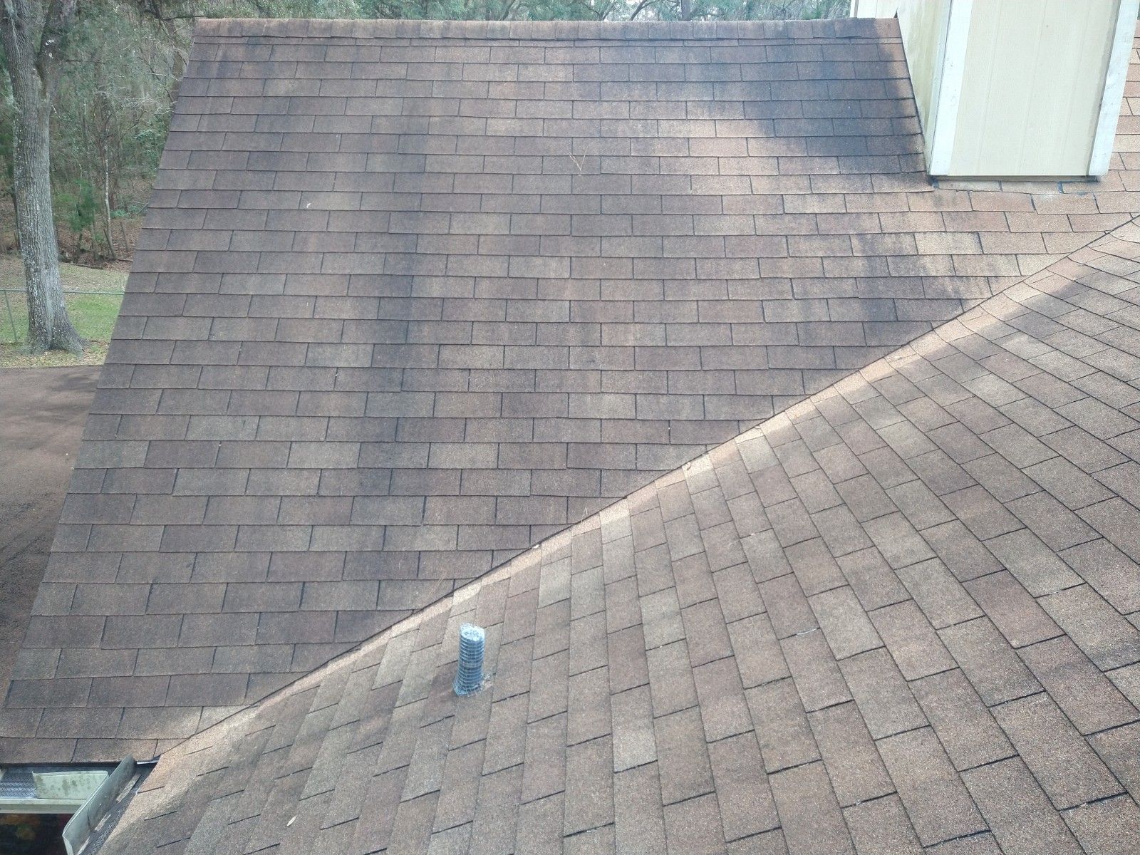 Roof Cleaning - Gainesville FL - Before