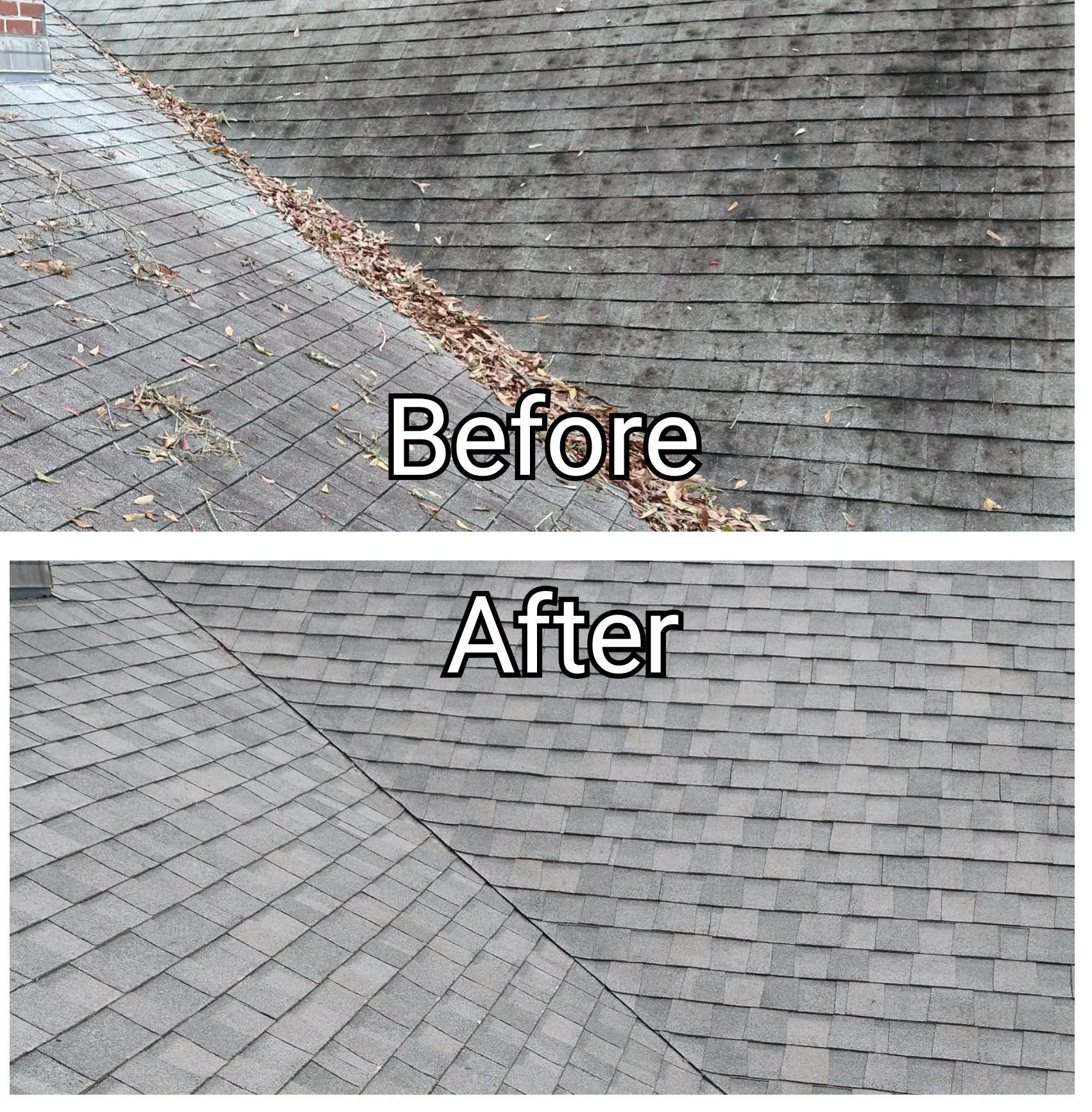 Roof Washing - Gainesville FL