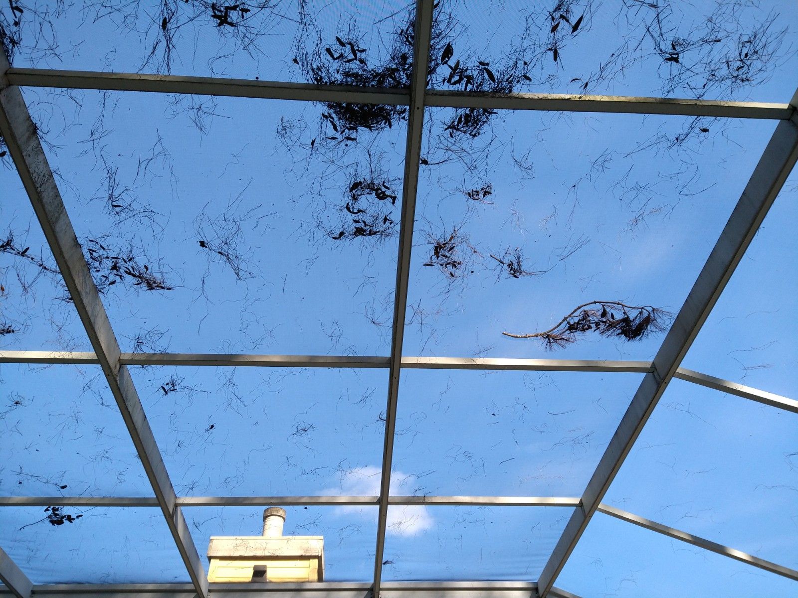 Screen Enclosure Cleaning Before