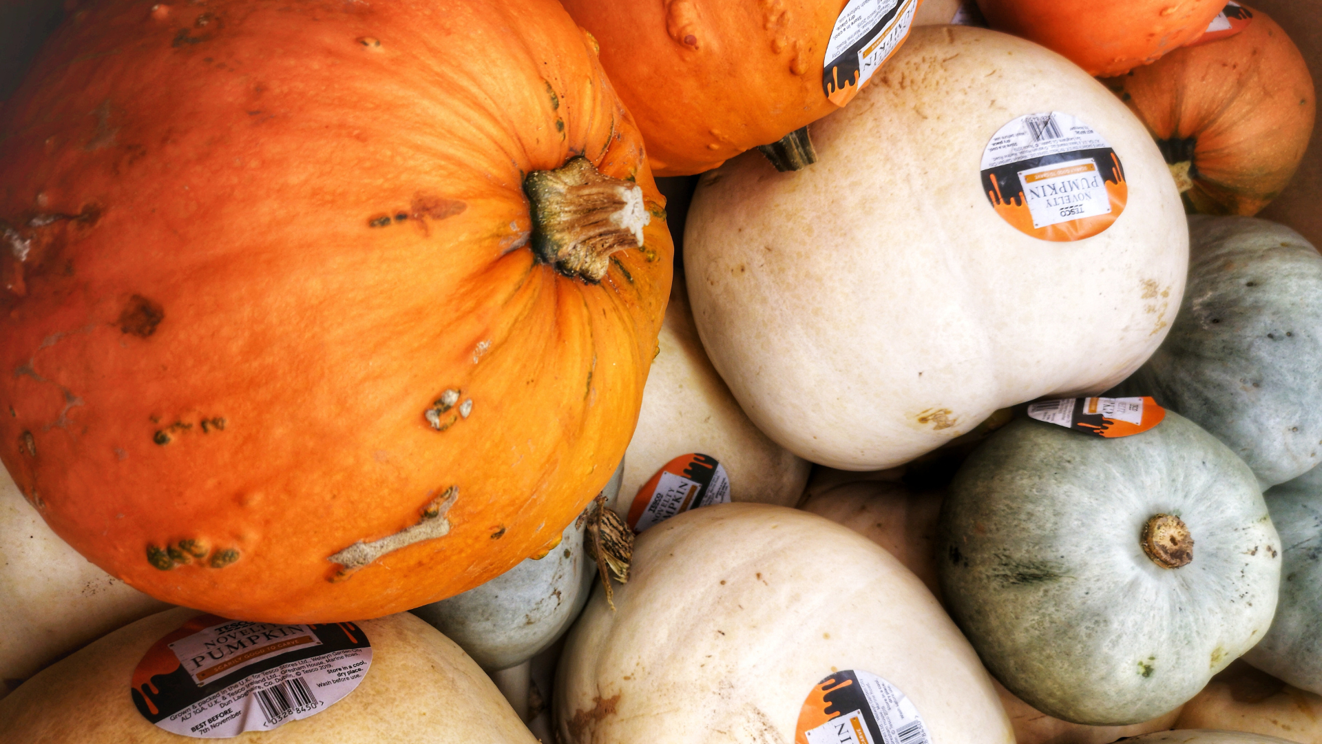 A bunch of pumpkins are sitting on top of each other on a table.
