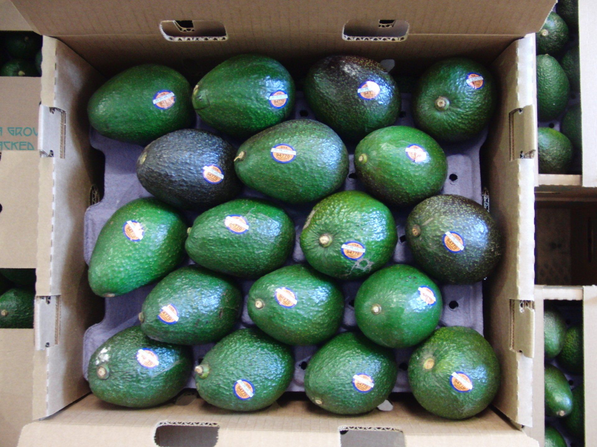 A cardboard box filled with avocados with stickers on them