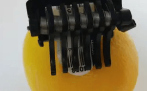 labeler