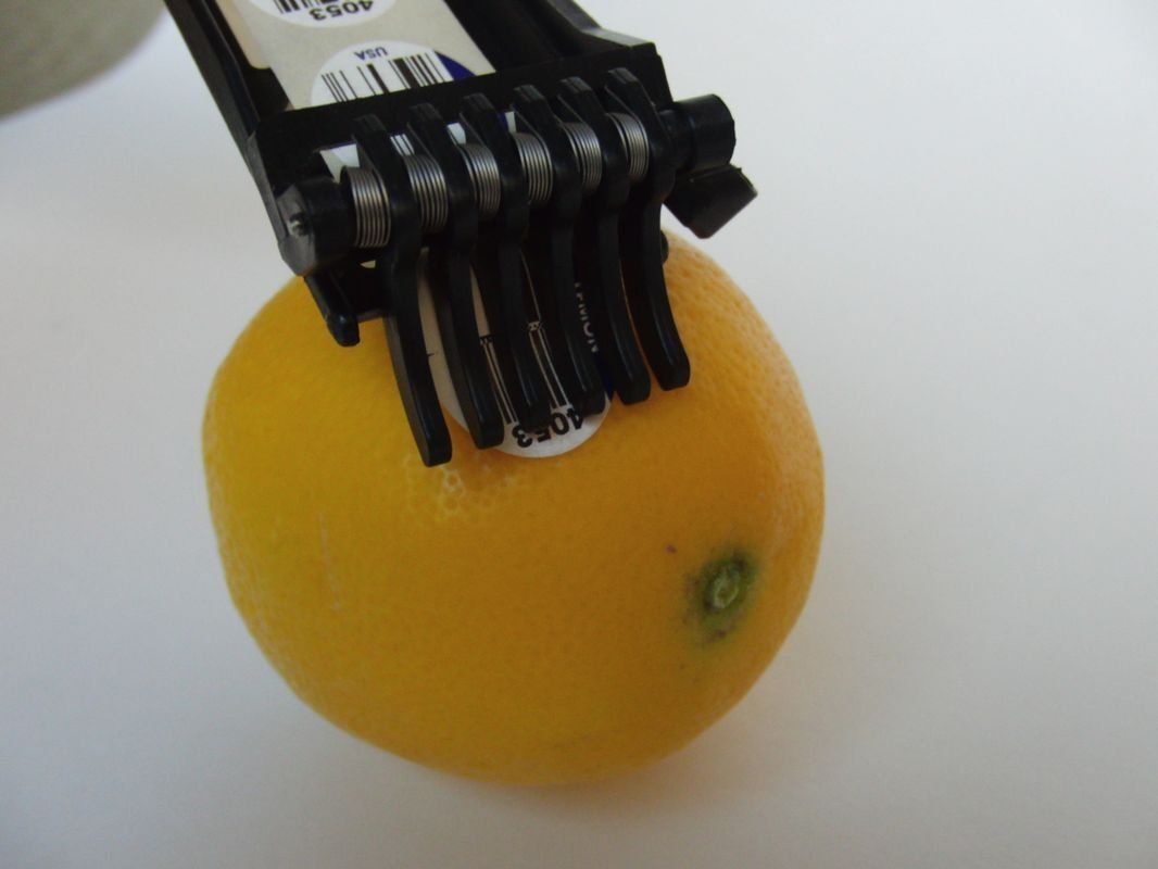 Labeler